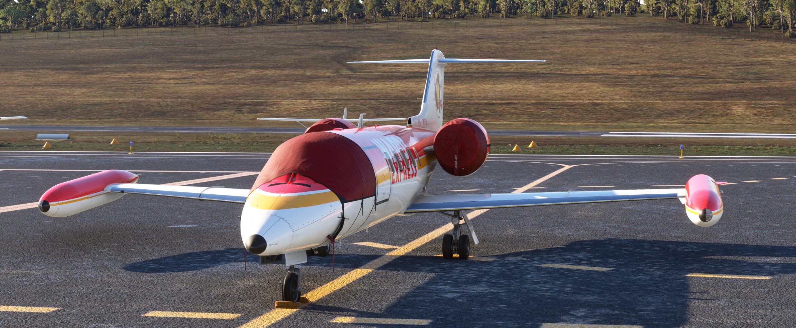 Flysimware Learjet 35 Cockput and engine covers